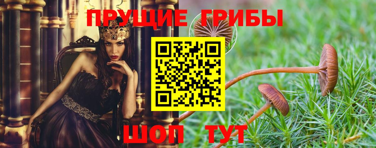 ТГК  Кокаин  A-PVP СОЛЬ кристаллы  Купить наркотики  Вход с VPN  Калуга  Мефедрон   МДМА  Конопля 