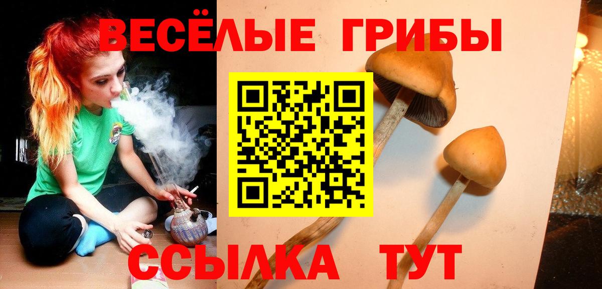 Псилоцибиновые грибы мухоморы Калуга