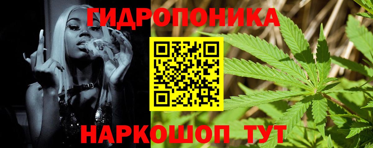Бошки Шишки Bruce Banner  Канабис гибрид  Калуга  Вход с VPN  Каннабис MAZAR 